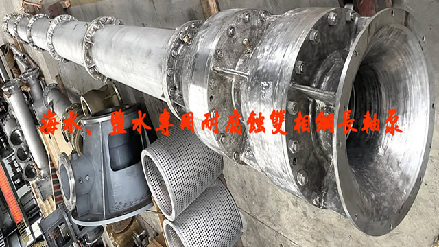 立式雙相鋼長軸泵