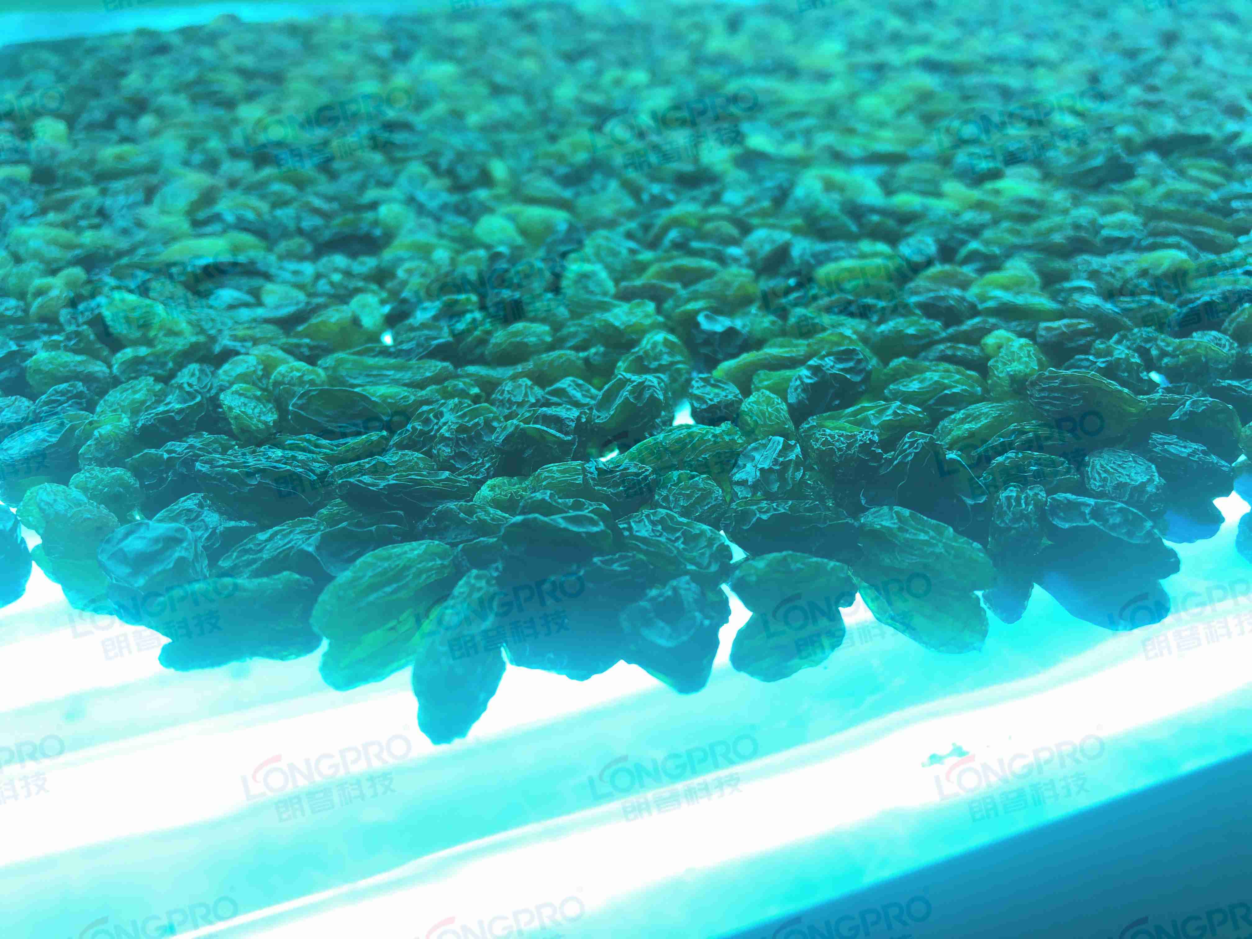 食品細(xì)菌超標(biāo)怎么解決？utf-8